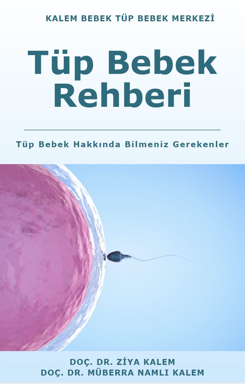 tup-bebek-rehber