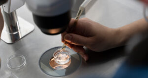 Get to Know Our Embryology Laboratory