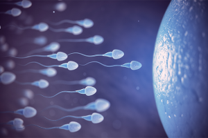 sperm-morfoloji-nedir-ve-nasil-olculur